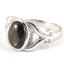 SKJewelryfactory แหวนเงินแท้ 92.5% ฝังพลอยแบล็คสตาร์แซฟไฟร์แท้ เน้นพลอยโดดเด่น ER02414-BST