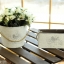 Pre-Order ถัง บัวรดน้ำ กระถางต้นไม้สังกะสี ทำสีขาวเก่า ลายนก มี 6 แบบ Zakka