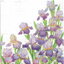 แนวภาพดอกไม้ ช่อดอกไอริส สีม่วง Iris เป็นภาพเข้ามุม กระดาษแนพกิ้นสำหรับทำงาน เดคูพาจ Decoupage Paper Napkins ขนาด 33X33cm