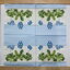 แนวภาพดอกไม้ ช่อดอก Water Forgetmenot กรอบสก็อตฟ้า เป็นภาพแนวยาว กระดาษแนพกิ้นสำหรับทำงาน เดคูพาจ Decoupage Paper Napkins ขนาด 33X33cm