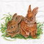 แนวภาพสัตว์ กระต่ายคู่ Rabbit Lover เป็นภาพบล็อค 4 กระดาษแนพกิ้นสำหรับทำงาน เดคูพาจ Decoupage Paper Napkins ขนาด 33X33cm