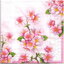 แนวภาพดอกไม้ ช่อดอกซากุระ Cherry Blossom ภาพสีน้ำ เป็นภาพเต็มแผ่น กระดาษแนพกิ้นสำหรับทำงาน เดคูพาจ Decoupage Paper Napkins ขนาด 33X33cm