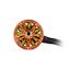 BrotherHobby GOM 2207.5 1920KV 6S