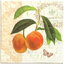 แนวภาพวินเทจ ผลไม้ พีช Vintage Peach เป็นภาพบล็อค 4 กระดาษแนพกิ้นสำหรับทำงาน เดคูพาจ Decoupage Paper Napkins ขนาด 33X33cm