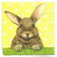 แนวภาพการ์ตูน กระต่าย Rabbit Watching เป็นภาพบล็อค 4 กระดาษแนพกิ้นสำหรับทำงาน เดคูพาจ Decoupage Paper Napkins ขนาด 33X33cm