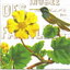 แนวภาพวินเทจ นก กับดอกไม้เหลือง Bird สัตว์ เป็นภาพบล็อค 4 กระดาษแนพกิ้นสำหรับทำงาน เดคูพาจ Decoupage Paper Napkins ขนาด 33X33cm
