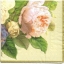 แนวภาพดอกไม้ ช่อดอกกุหลาบ กระดาษแนพกิ้นสำหรับทำงาน เดคูพาจ Decoupage Paper Napkins เป็นภาพเต็มแผ่น ขนาด 25X25 ซม