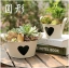 Pre-Order ถังสังกะเคลือบสีลายหัวใจ กระถางต้นไม้ทรงกลม มีหู Zakka มี 3 ขนาด
