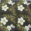 แนวภาพดอกไม้วินเทจ Christmas Rose พื้นลายทองดำ เป็นภาพบล็อค 4 กระดาษแนพกิ้นสำหรับทำงาน เดคูพาจ Decoupage Paper Napkins ขนาด 33X33cm