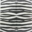แนวภาพลายแต่ง ซาฟารี Skin ขนม้าลาย Zebra เป็นภาพเต็มแผ่น กระดาษแนพกิ้นสำหรับทำงาน เดคูพาจ Decoupage Paper Napkins ขนาด 33X33cm