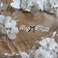 พร้อมส่ง Dress เดรสยืดแขนสั้นพิมพ์ลายแมวเหมียว