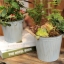 Pre-Order กระถางต้นไม้สังกะสีทำสีเก่าลายริ้ว หูเชือก Zakka เซตละ 2-3 ใบ มี 3 แบบ