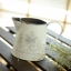 Pre-Order ถัง บัวรดน้ำ กระถางต้นไม้สังกะสี ทำสีขาวเก่า ลายนก มี 6 แบบ Zakka