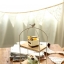 Pre-Order ชั้นวางของเหล็ก พื้นไม้ ลายกรงนก Zakka มีสีดำ กับครีม