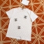 เสื้อเกาหลี พร้อมส่ง เสื้อยืด แขนสั้น คอกลม