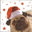แนวภาพ Christmas หมาปั๊ก ใส่หมวกแซนต้า พื้นขาวลายจุดดาว กระดาษแนพกิ้นสำหรับทำงาน เดคูพาจ Decoupage Paper Napkins เป็นภาพ 4 บล๊อค ขนาด 33X33cm