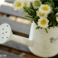 Pre-Order ถัง บัวรดน้ำ กระถางต้นไม้สังกะสี ทำสีขาวเก่า ลายนก มี 6 แบบ Zakka