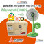 MITSUBISHI ELECTRIC พัดลมสไลด์ 16 นิ้ว R16 สีชมพู สีเทา สีเขียว รับประกันมอเตอร์ 5ปี CShome