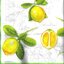 แนวภาพ วินเทจ ผลไม้ Lemon Citrus มะนาว เป็นภาพแนวยาว กระดาษแนพกิ้นสำหรับทำงาน เดคูพาจ Decoupage Paper Napkins ขนาด 33X33cm